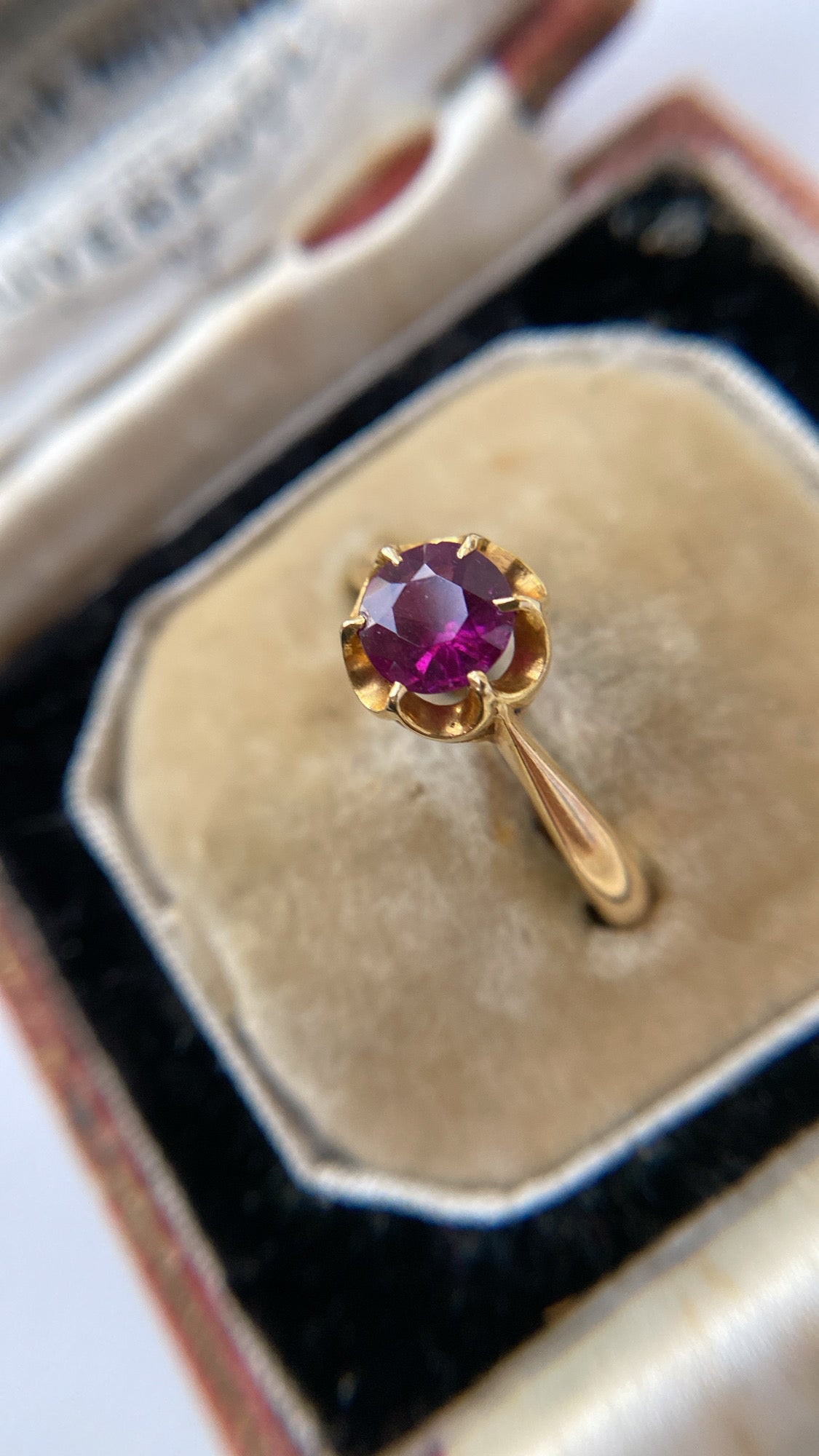 the raspberry garnet