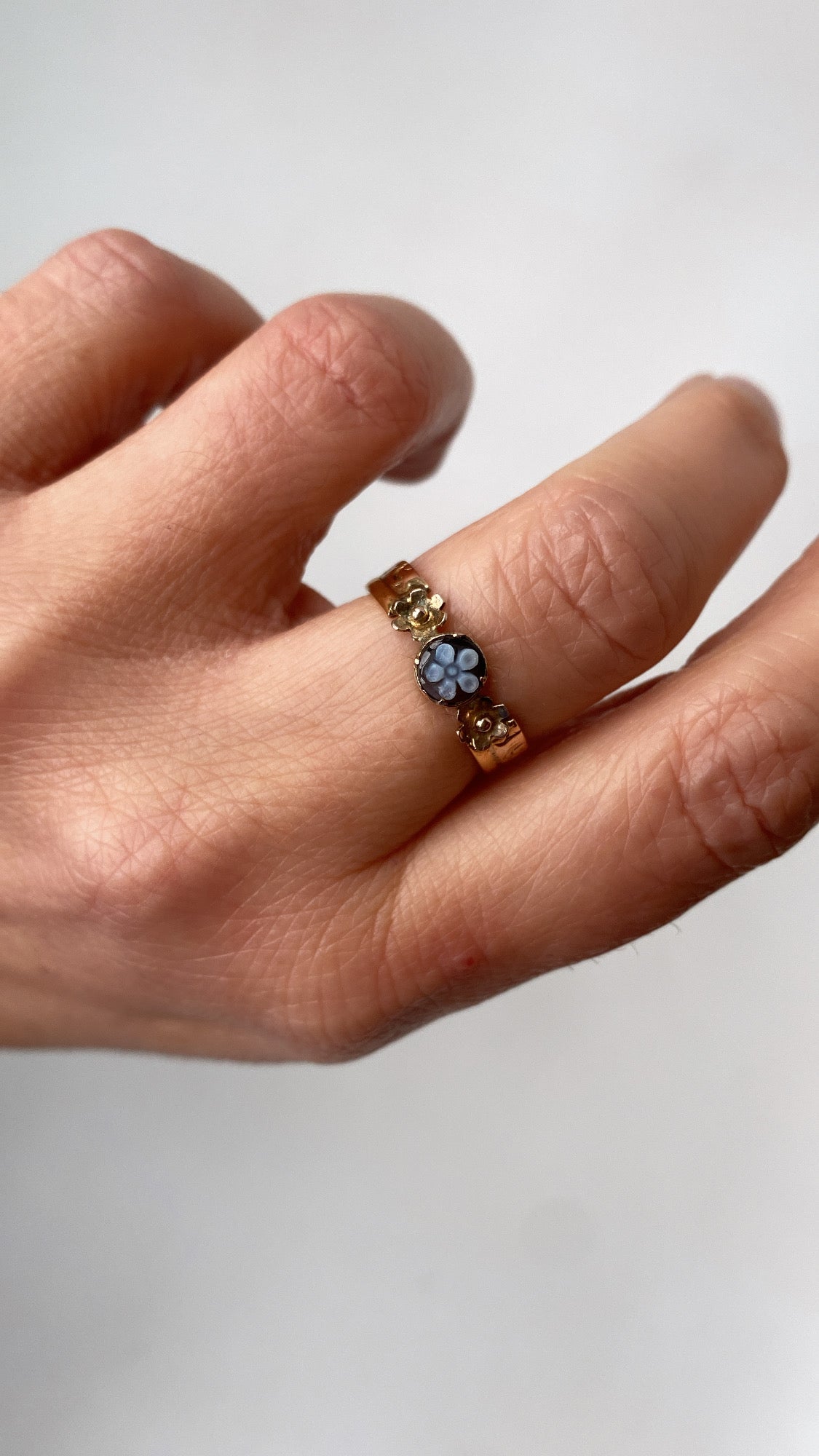 the sardonyx forget me not