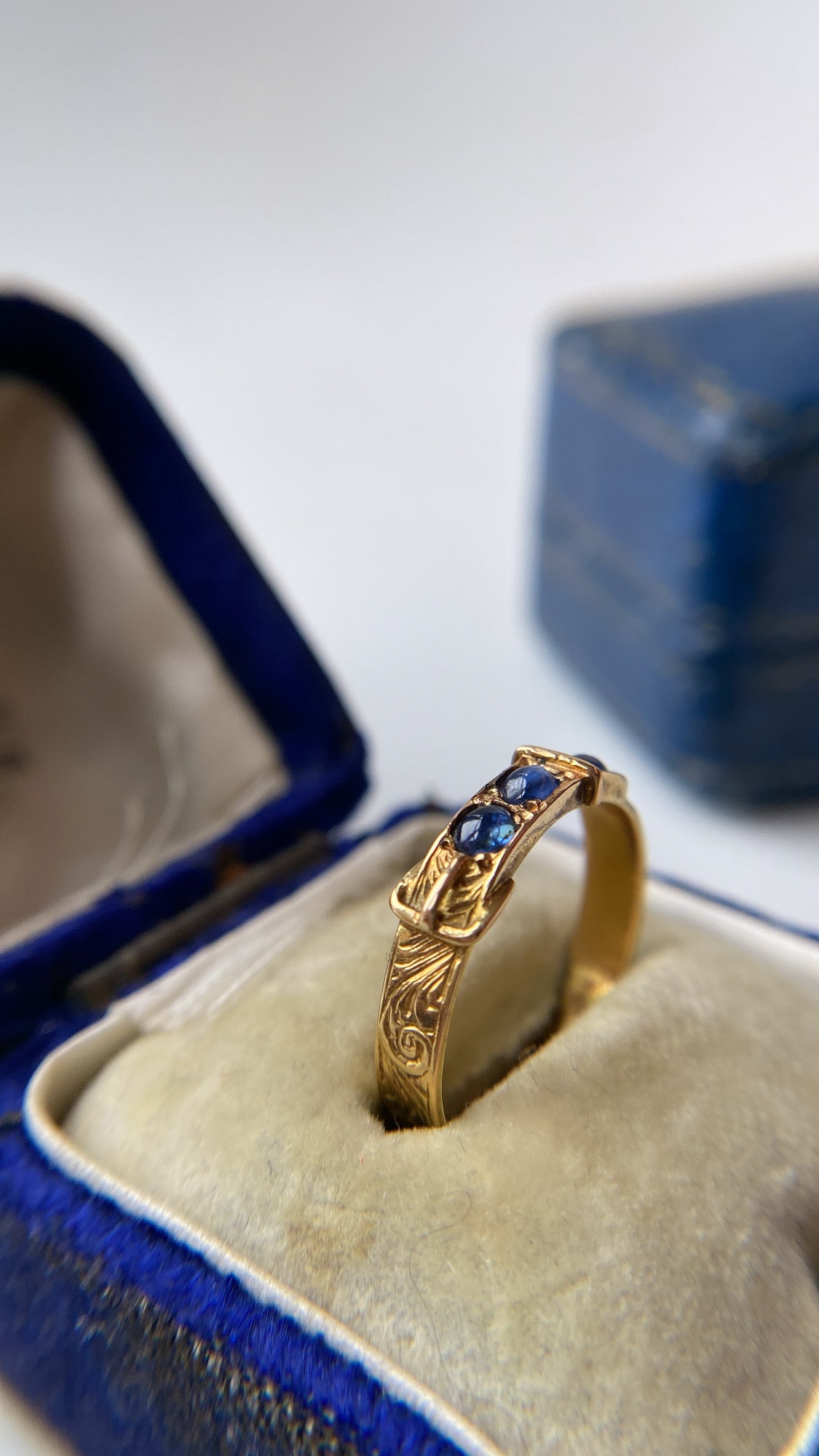 the sapphire buckle ring