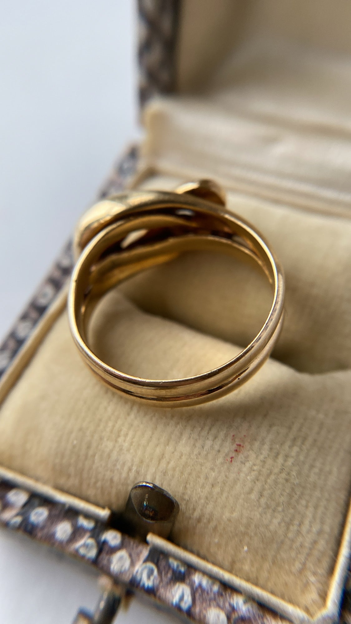 the double snake ring