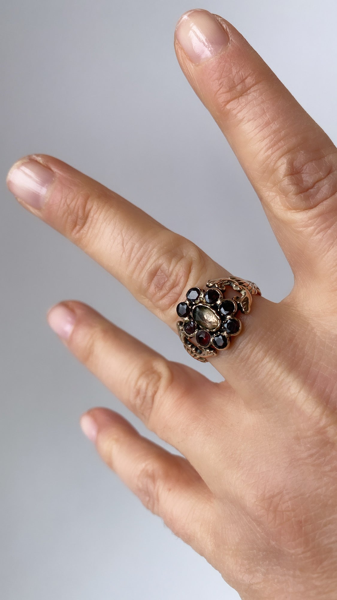 the georgian flower cluster