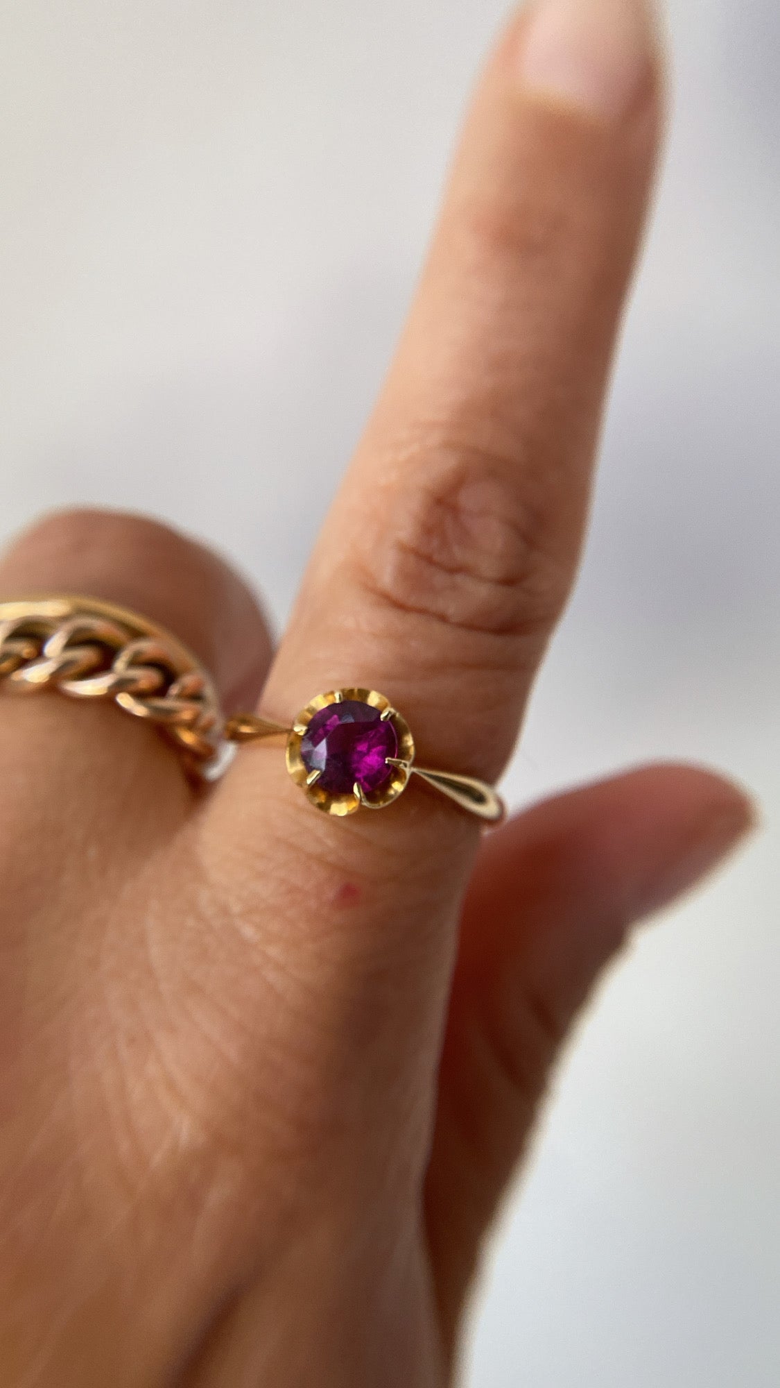 the raspberry garnet