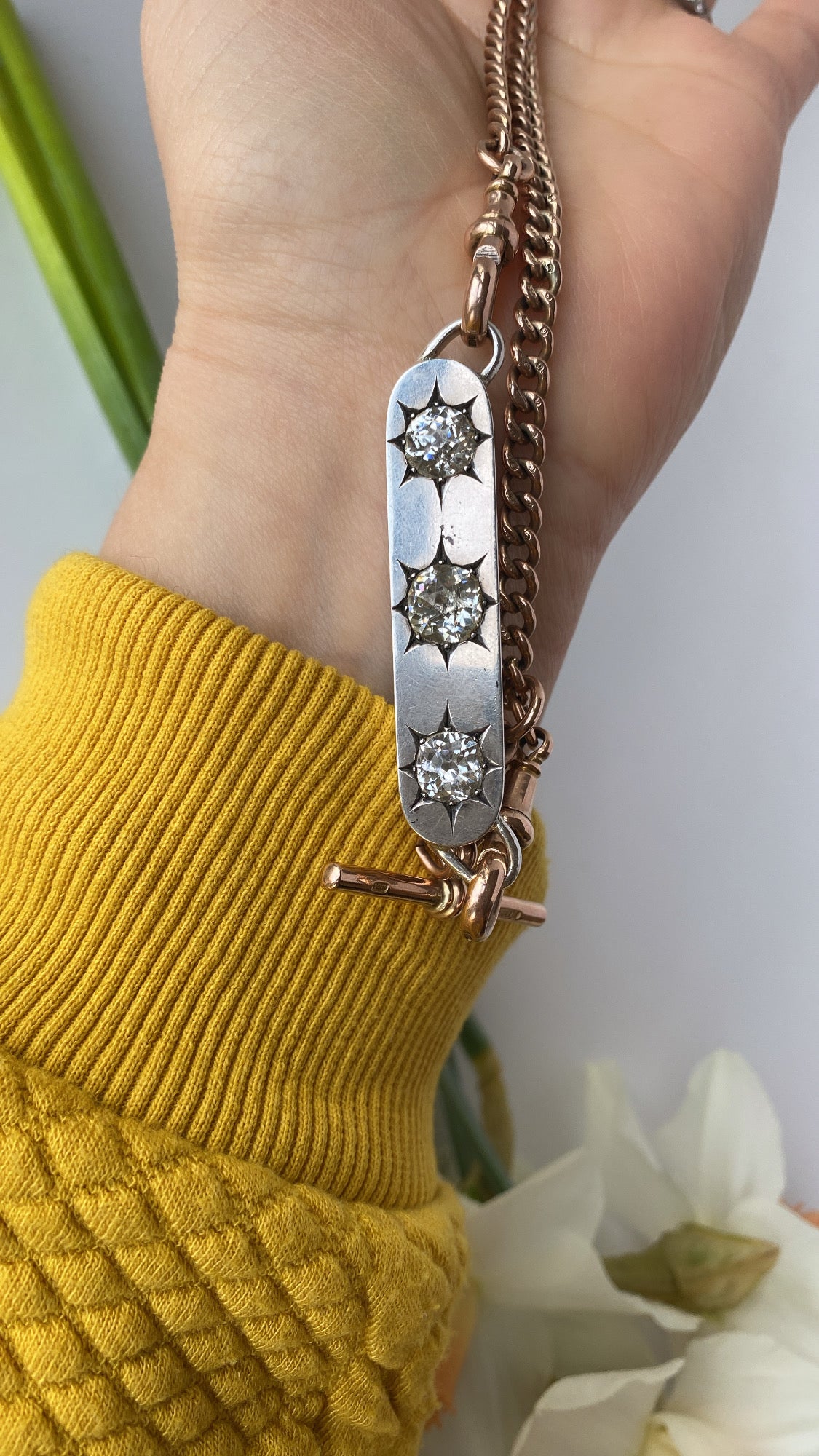 the silver paste extender