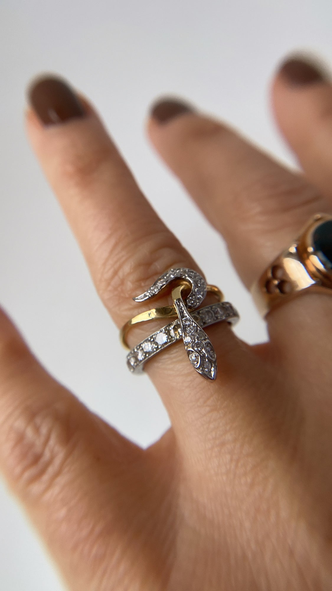 the vintage diamond snake