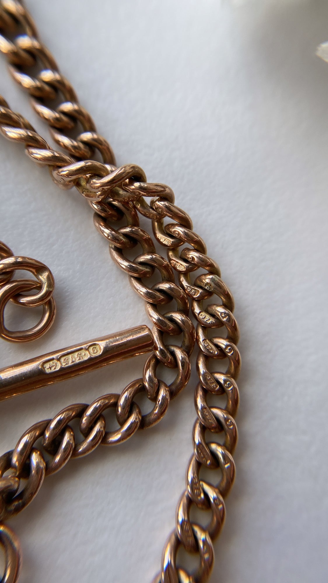 the antique Albert chain