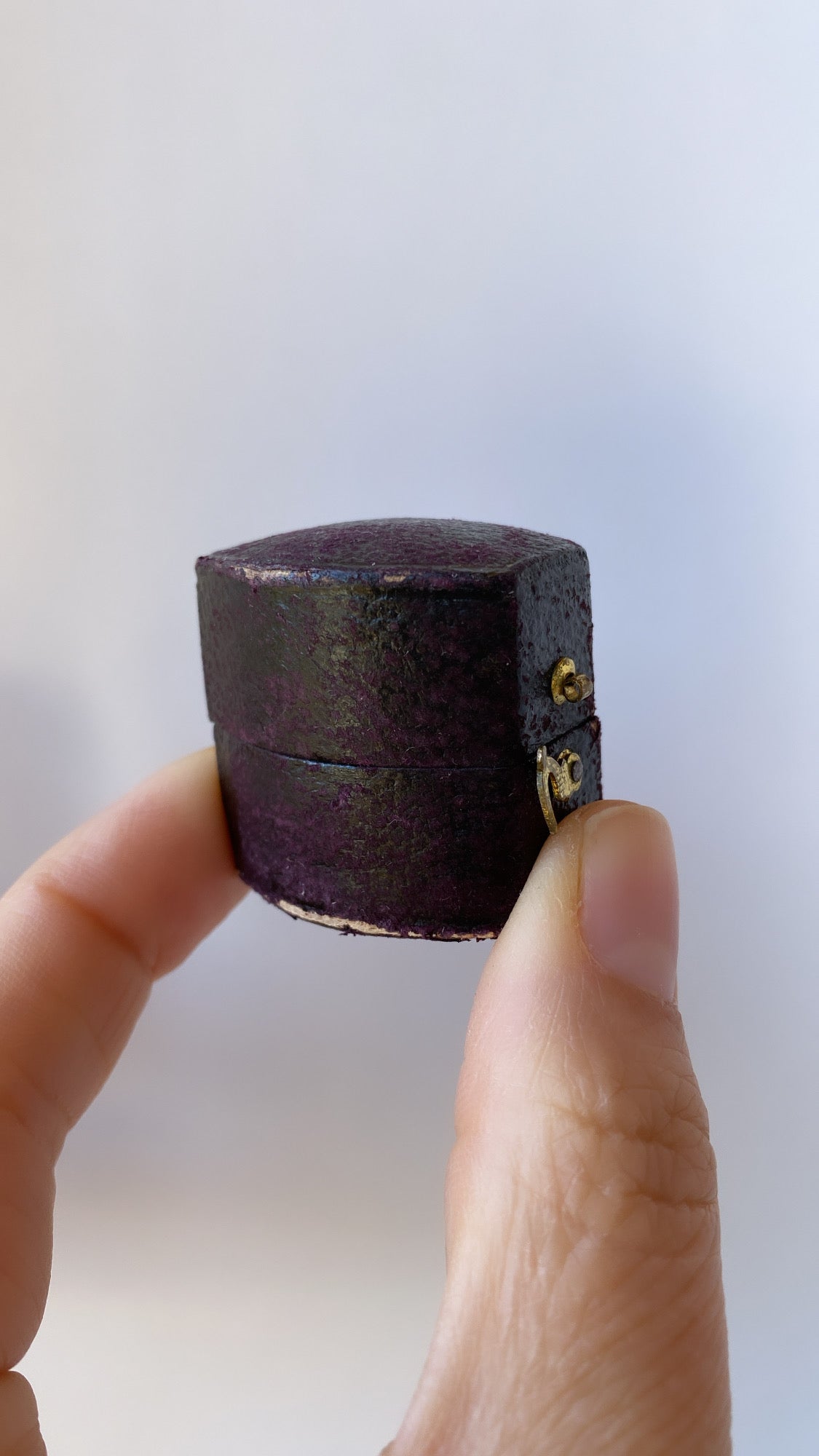 curved edge, little brown box