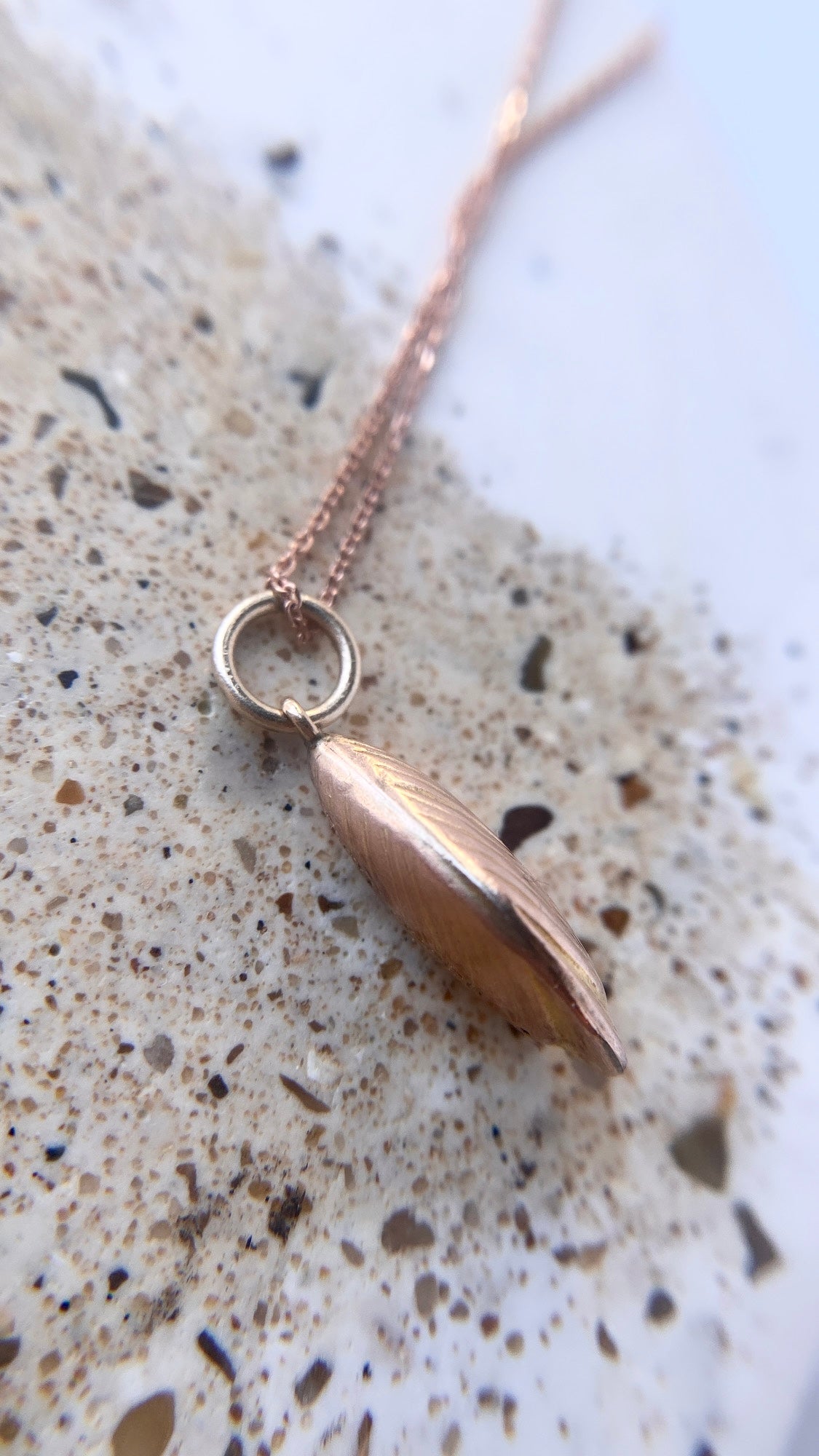 the antique shell charm