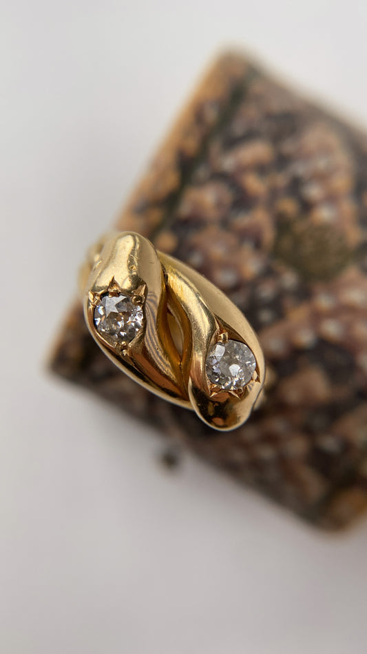 the double snake ring