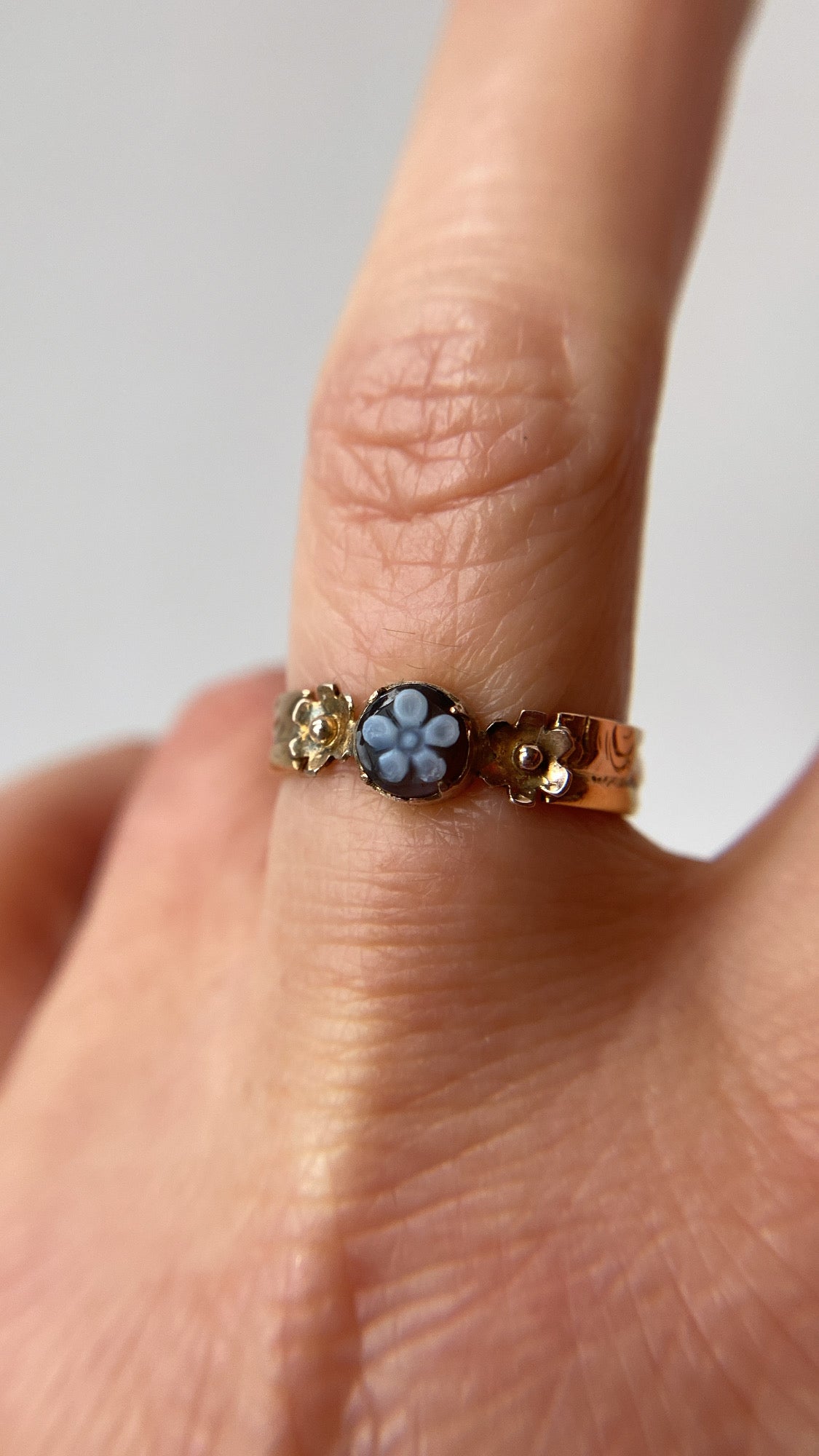 the sardonyx forget me not