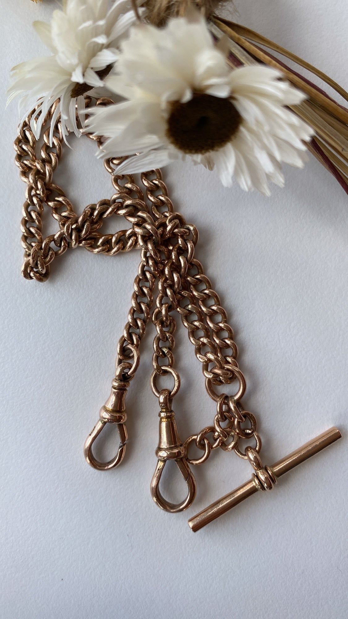 the antique Albert chain