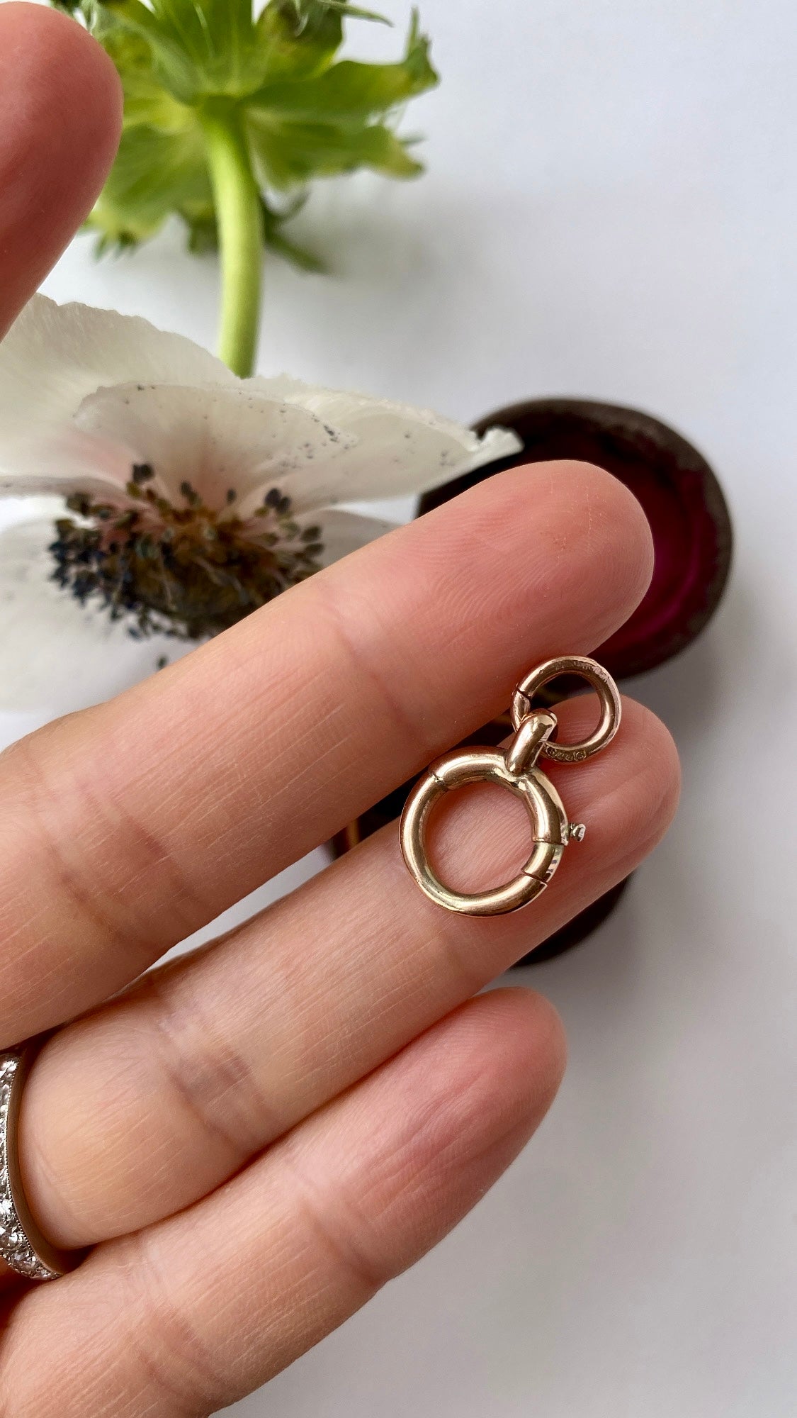 the oversized bolt ring