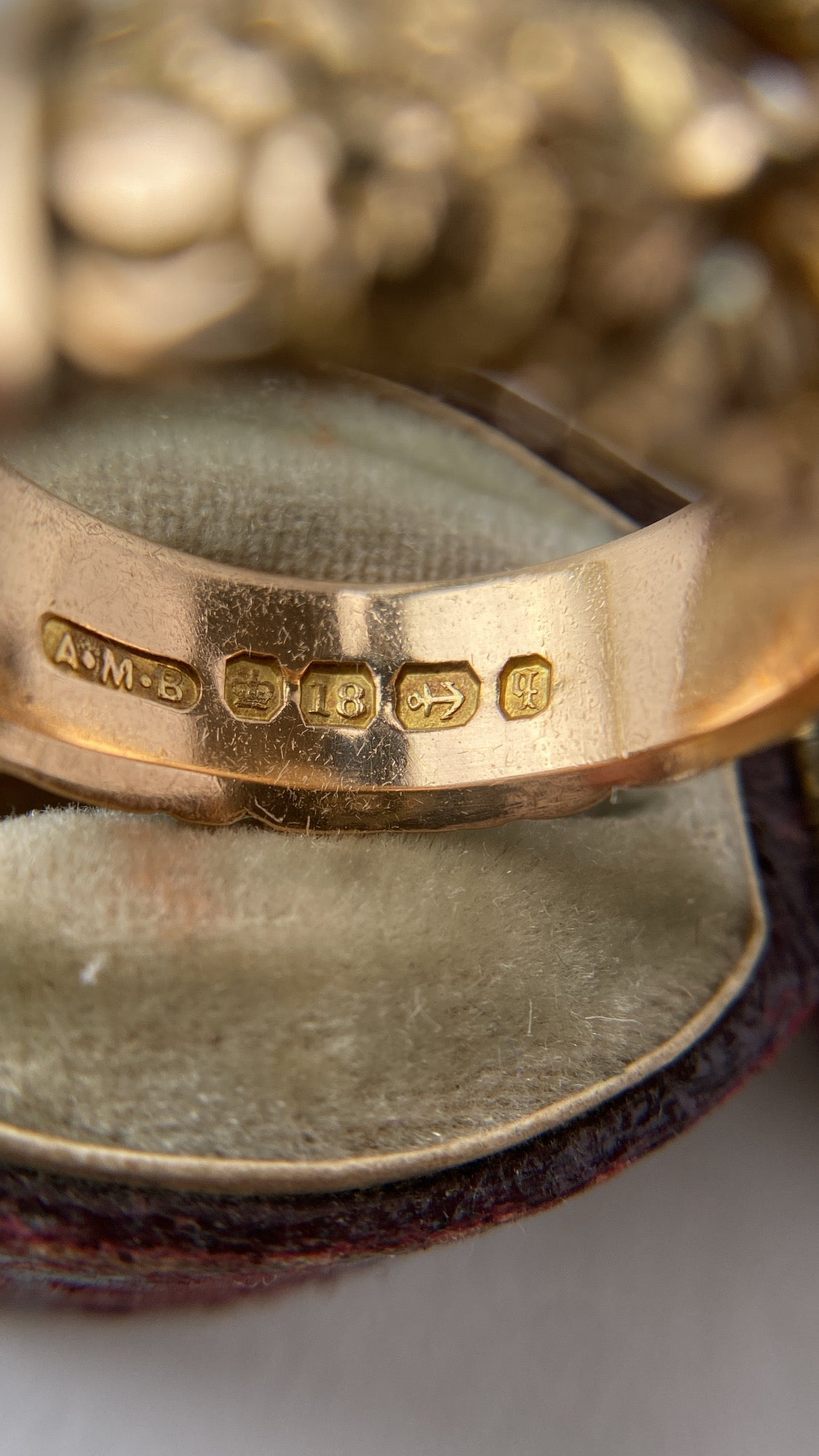 the ultimate buckle ring