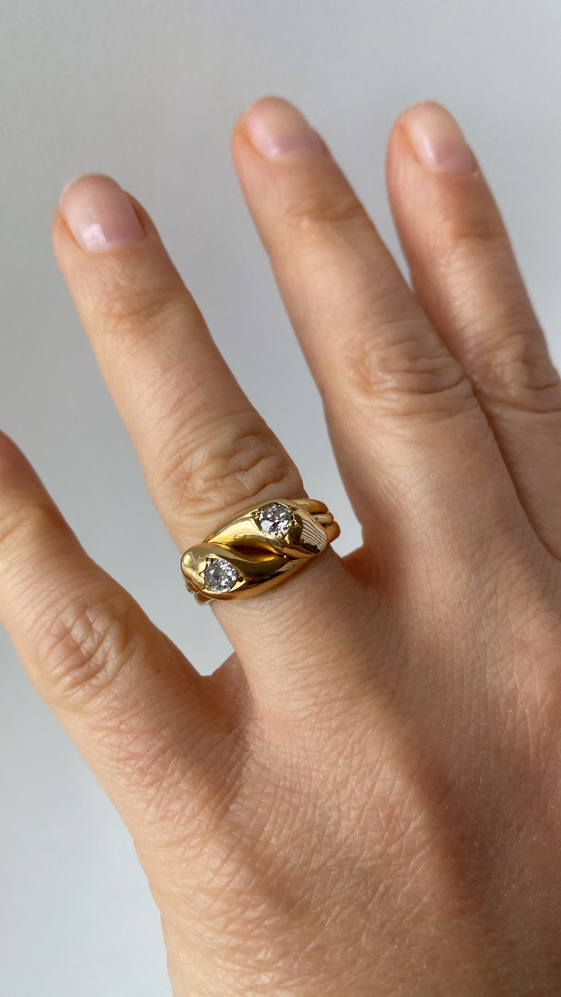 the double snake ring