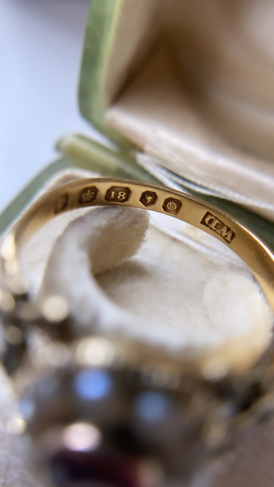 the enamel flower and garnet mourning ring