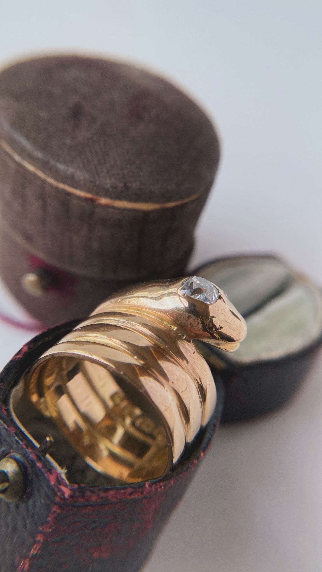 the Victorian snake ring
