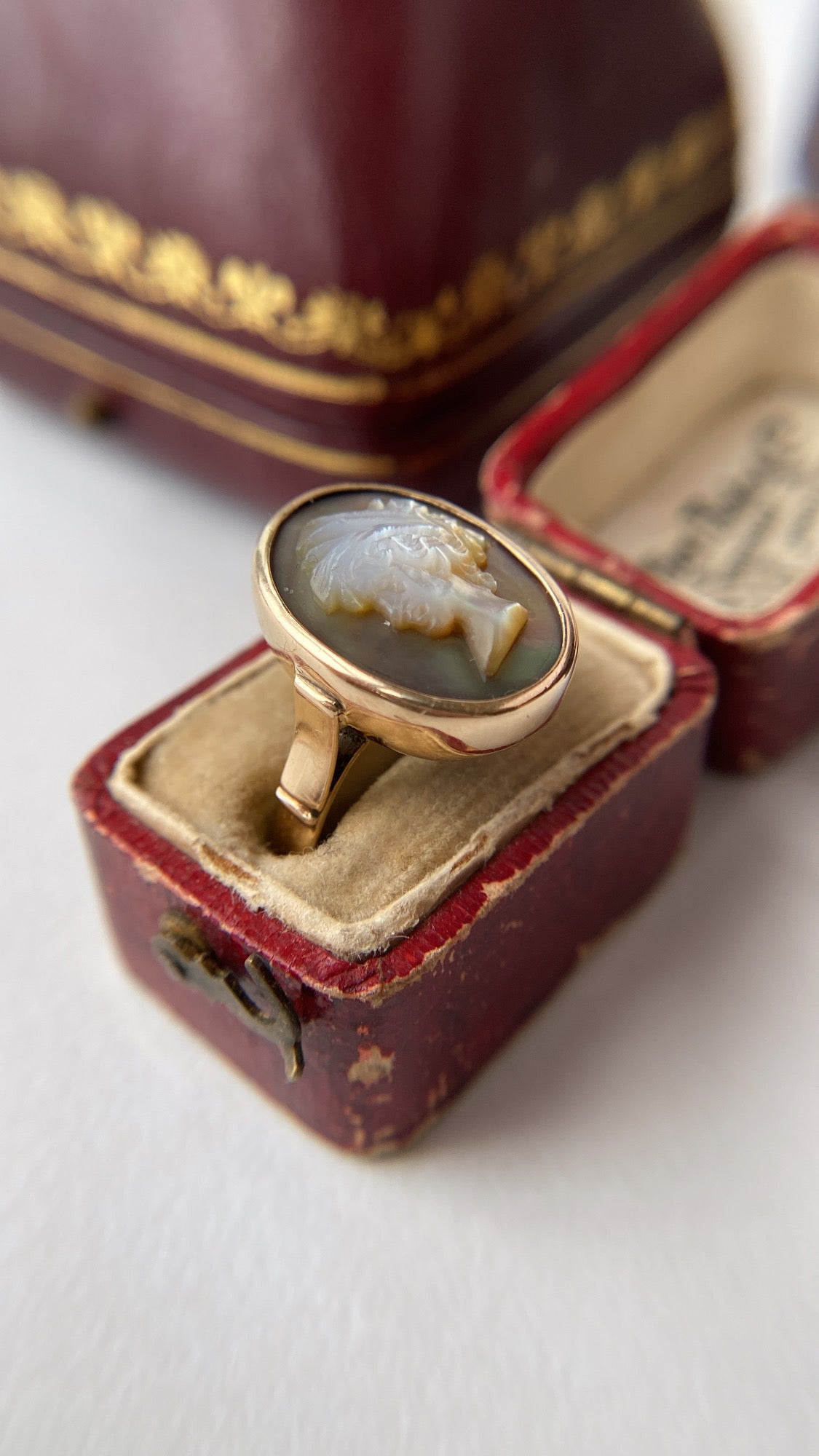 the mother of pearl cameo ring