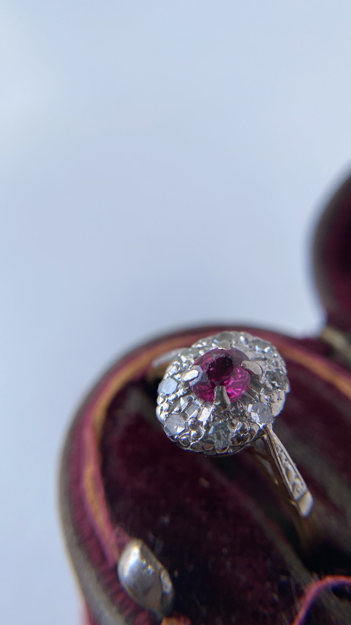 the sweet ruby and diamond halo ring