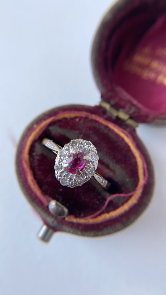 the sweet ruby and diamond halo ring