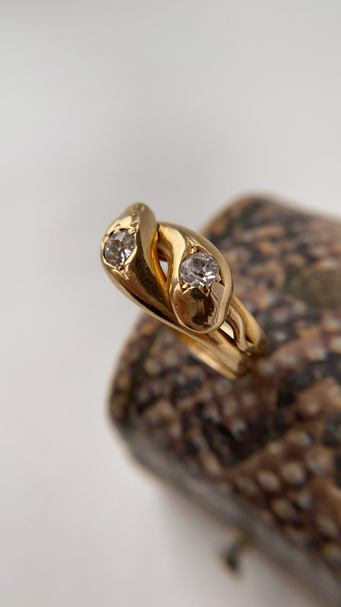 the double snake ring