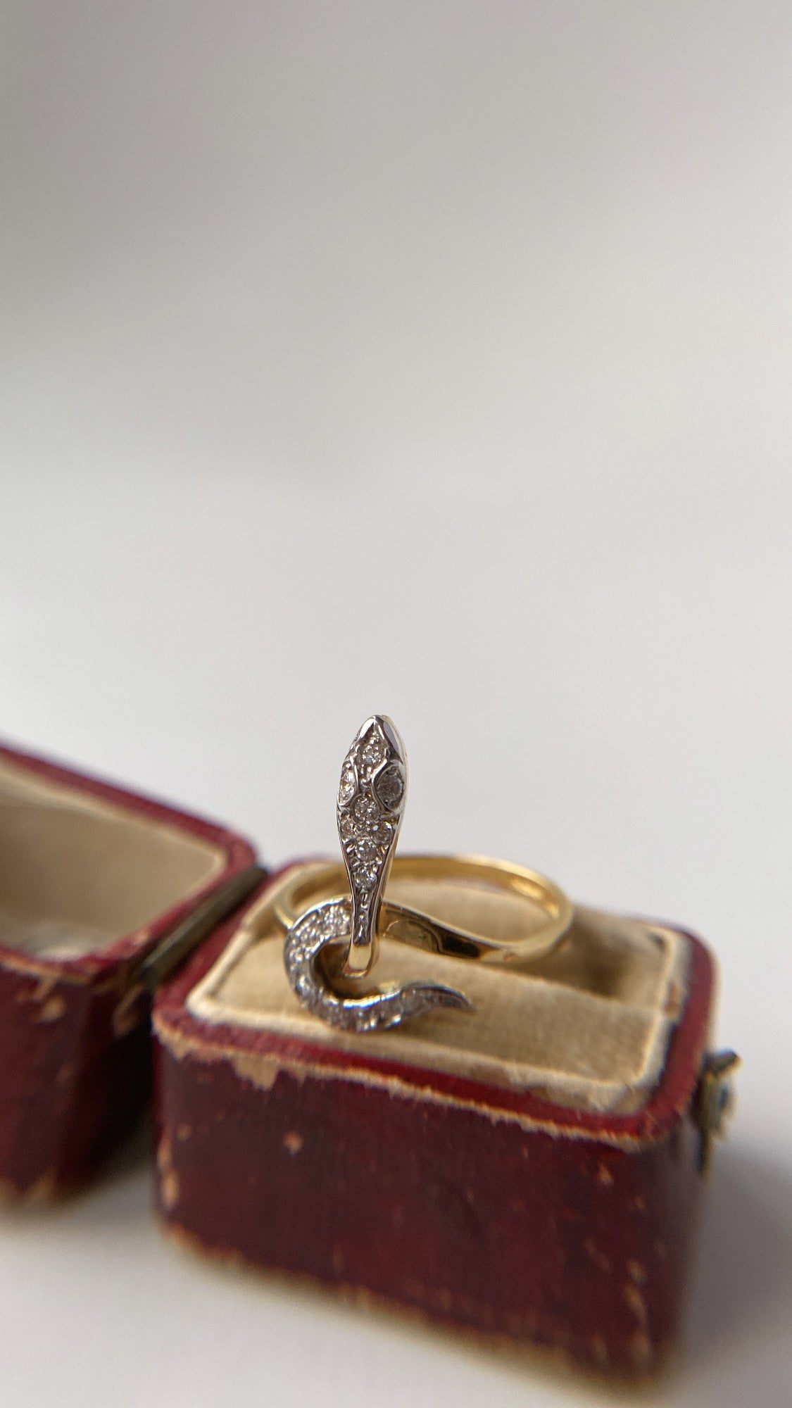 the vintage diamond snake