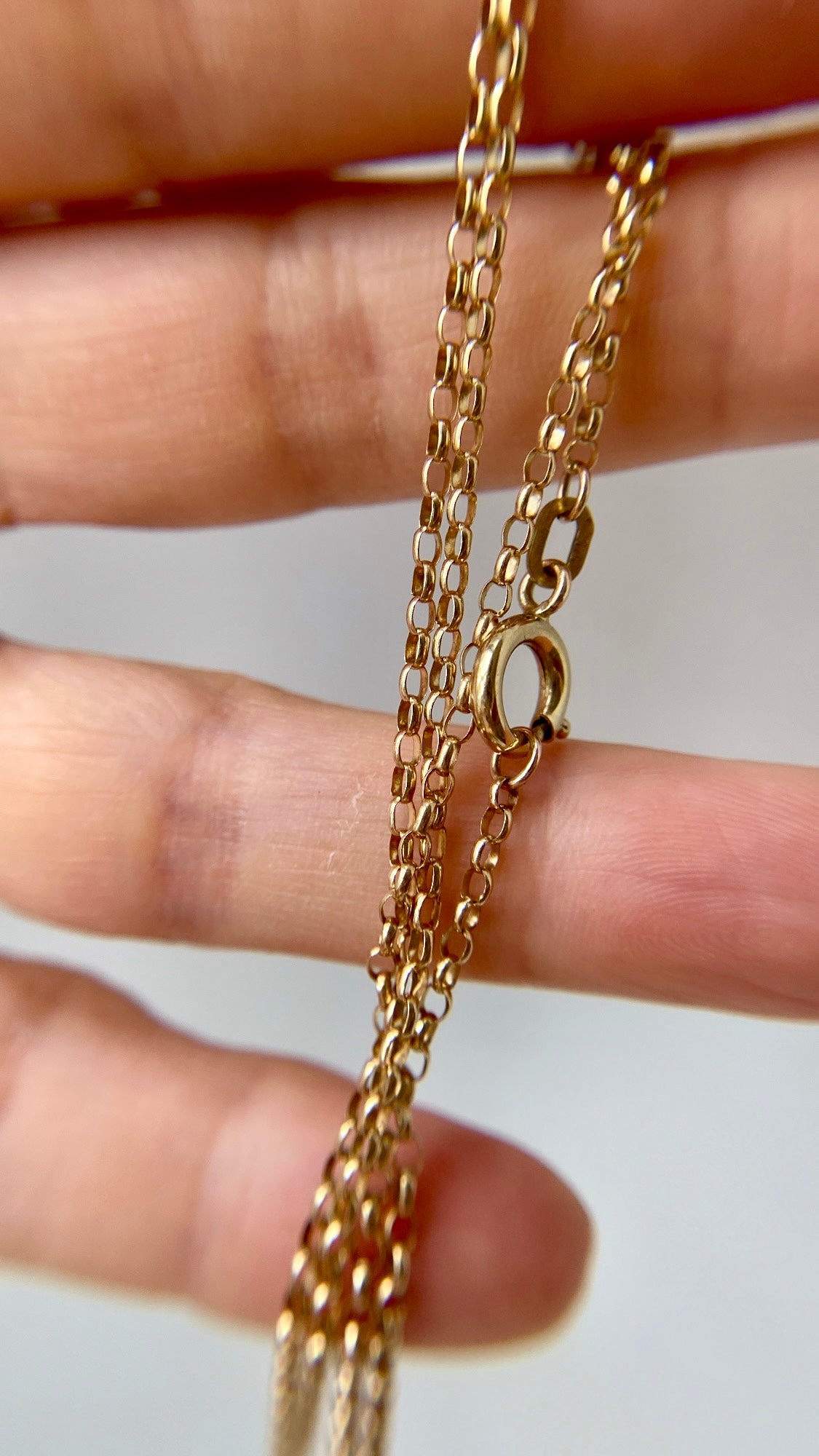 the 9ct yellow gold chain