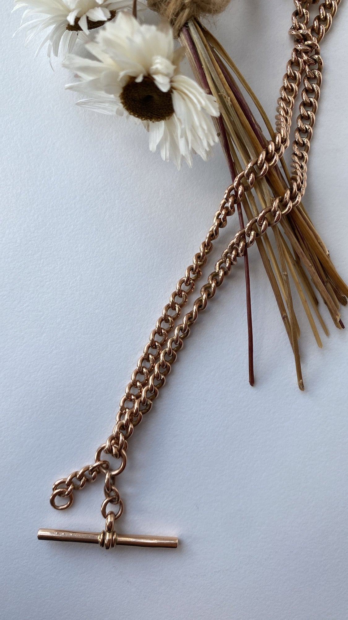 the antique Albert chain