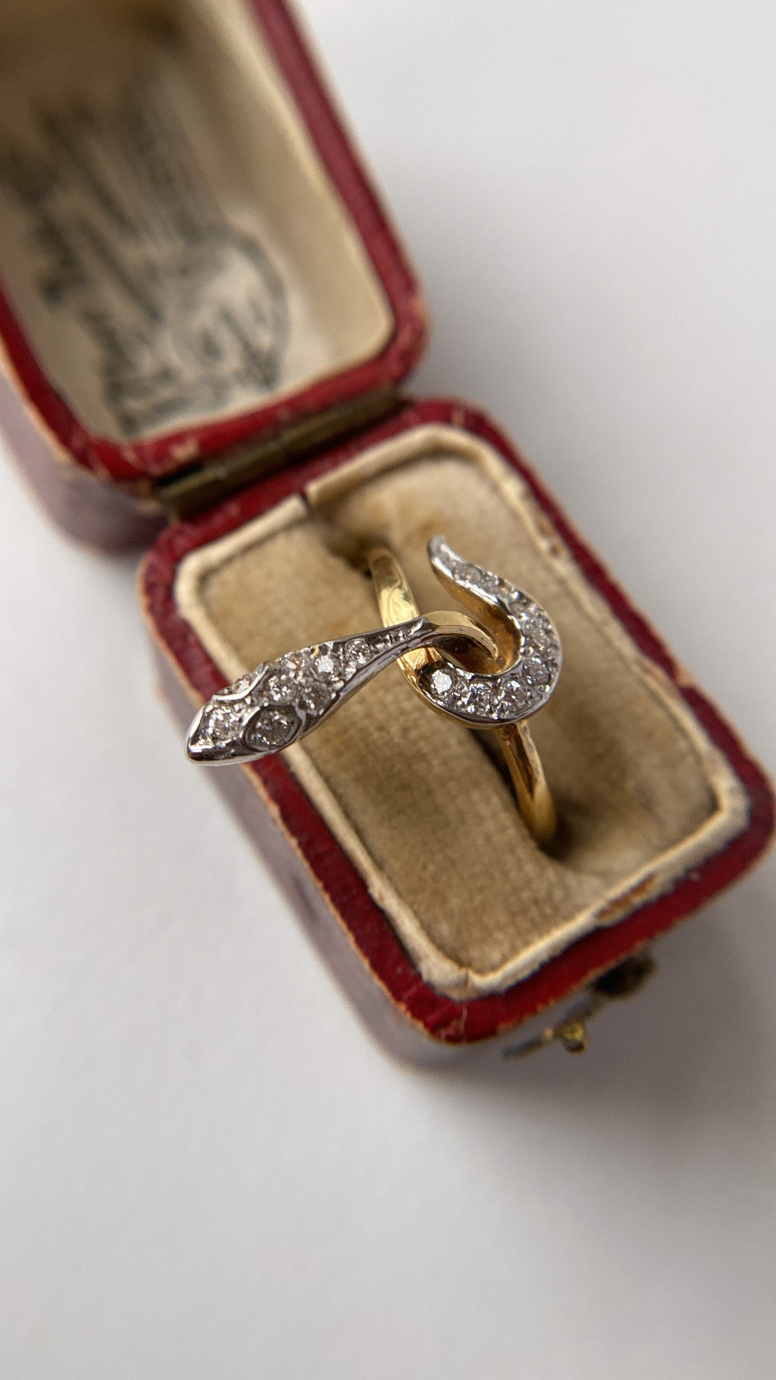 the vintage diamond snake