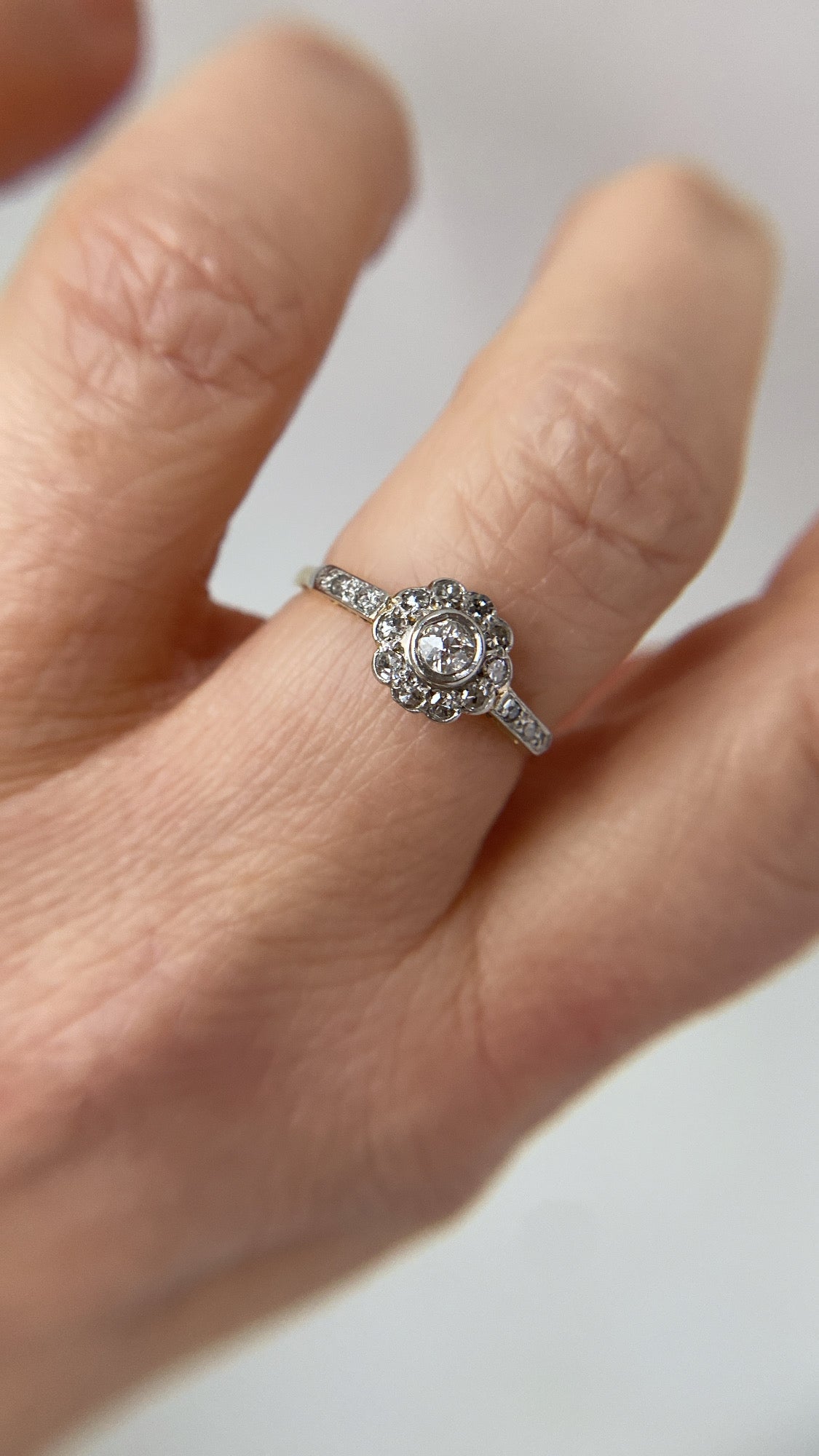 the diamond daisy cluster