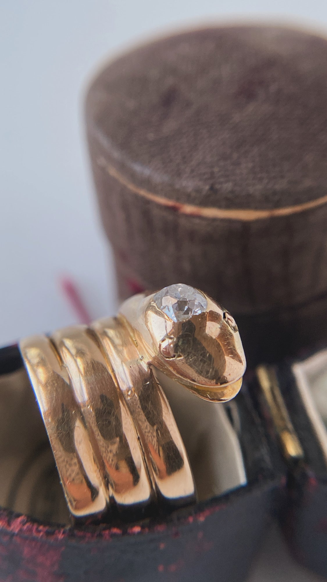 the Victorian snake ring