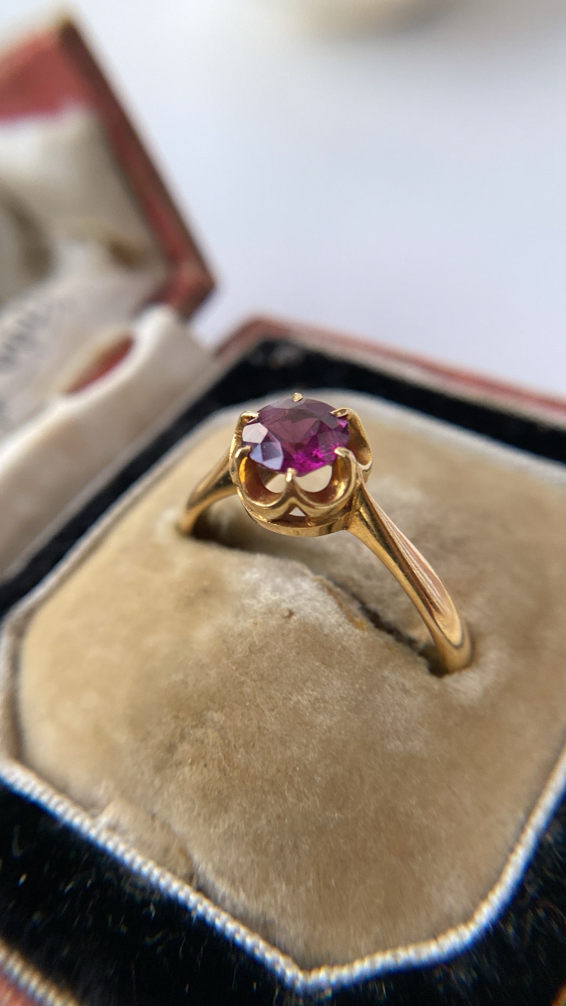 the raspberry garnet