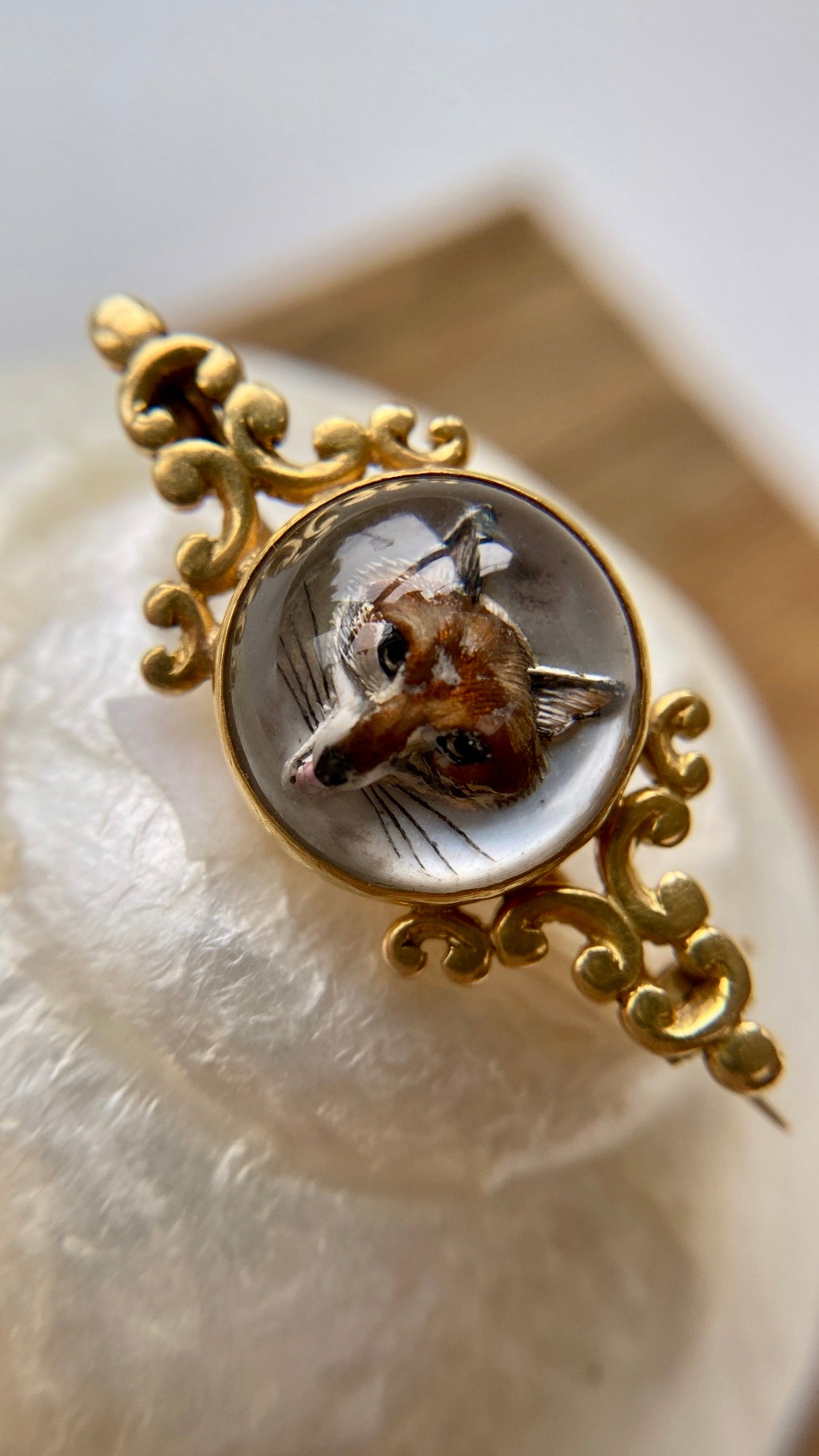the Essex crystal fox brooch