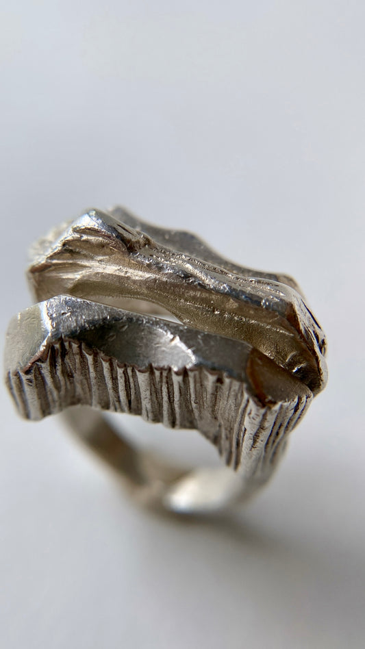 the hans steffin ring