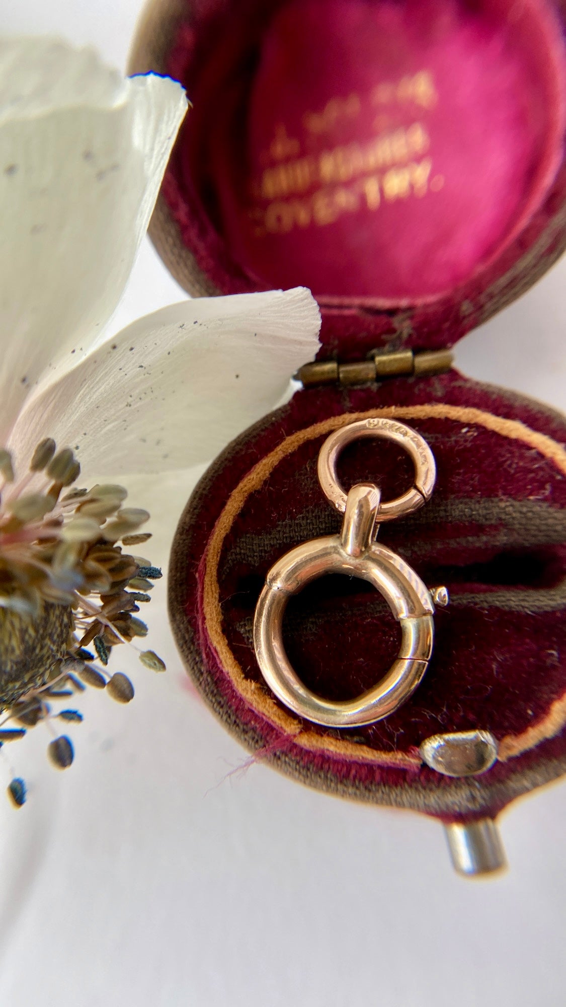 the oversized bolt ring