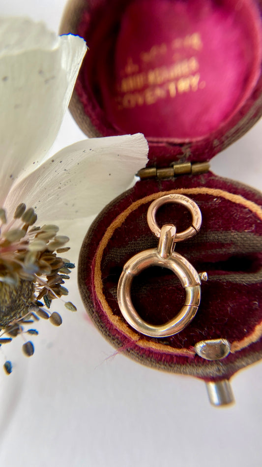 the oversized bolt ring