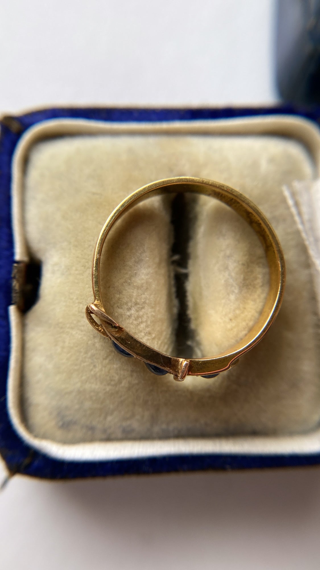 the sapphire buckle ring