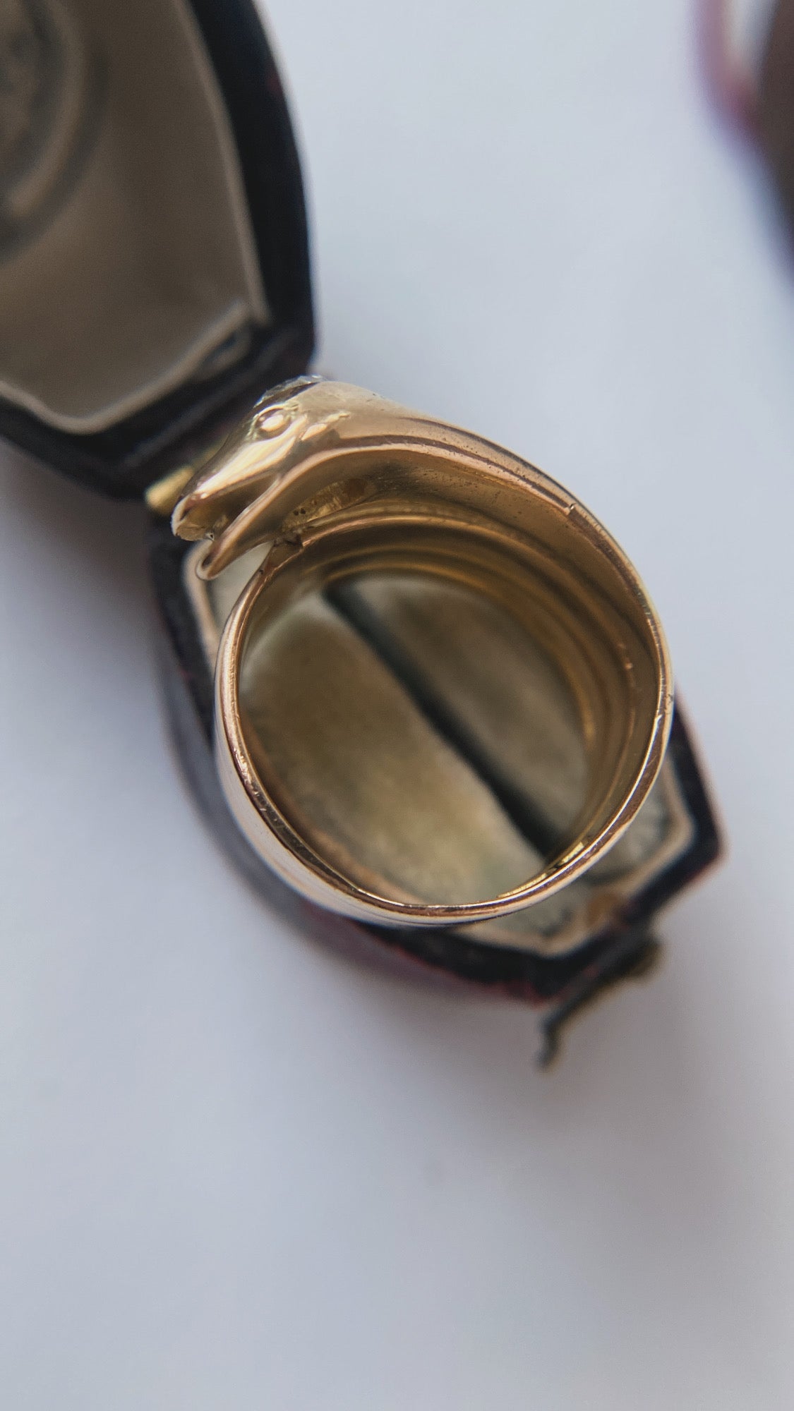 the Victorian snake ring