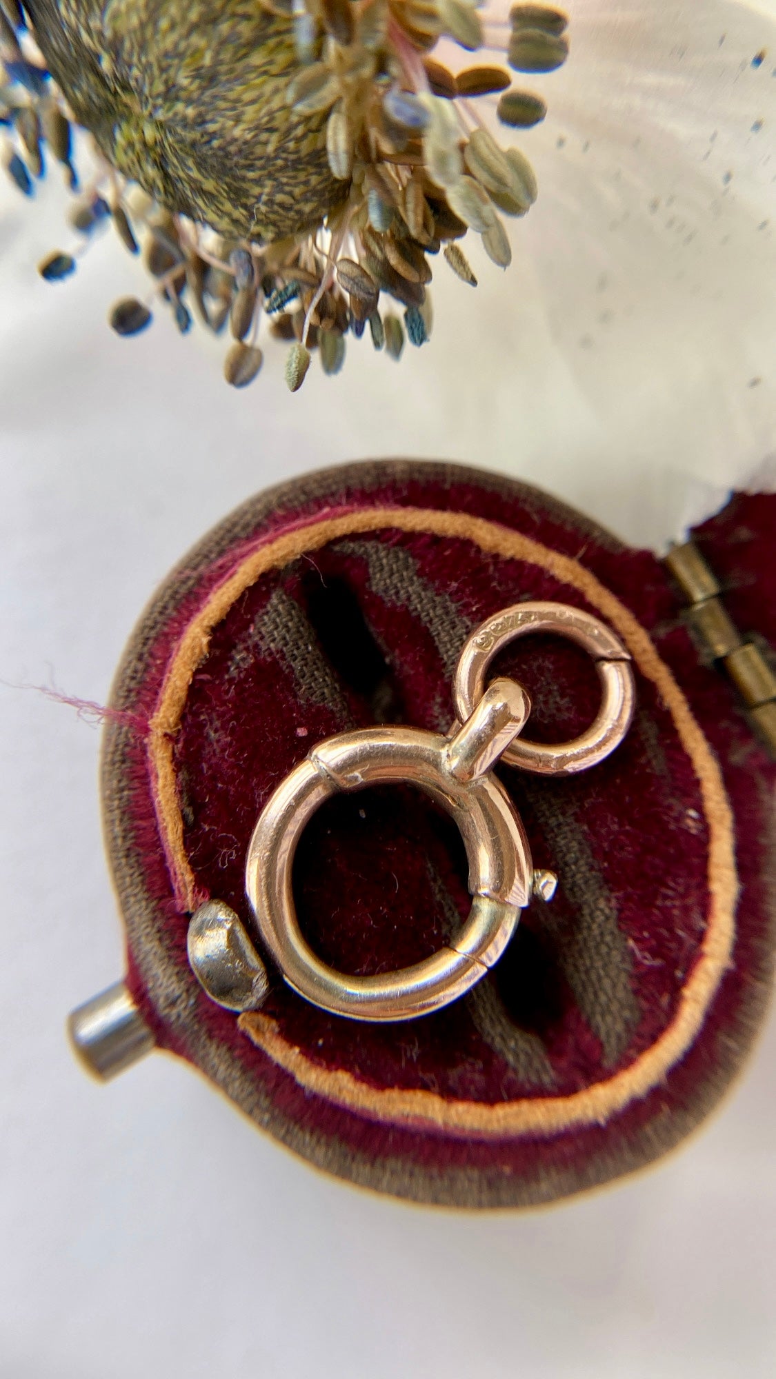 the oversized bolt ring