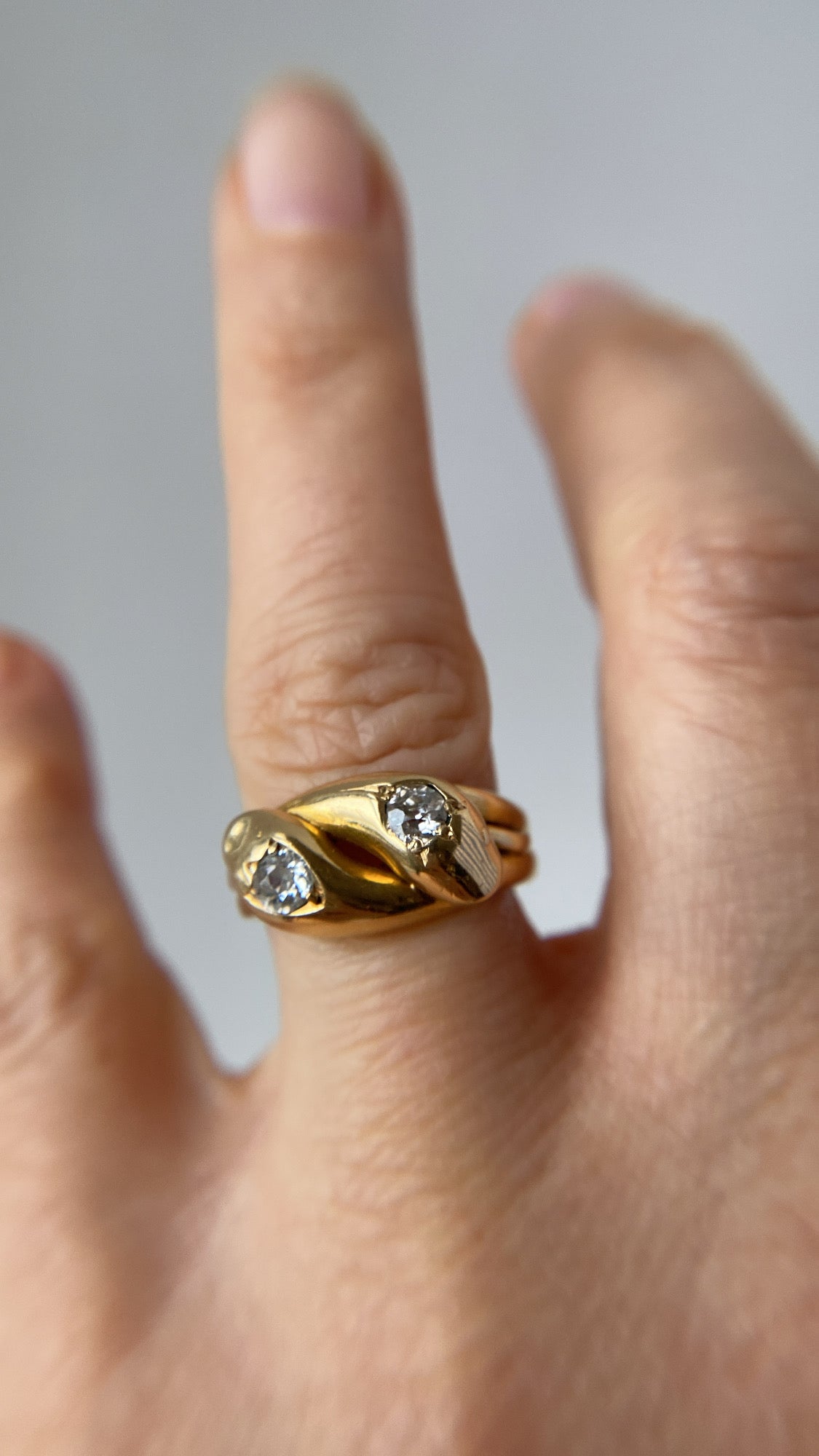 the double snake ring